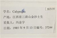 登錄號:B00015154藏品圖，第2張