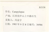 登錄號:B00015156藏品圖，第2張