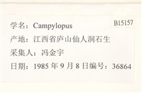 登錄號:B00015157藏品圖，第2張