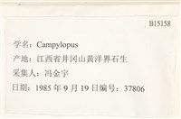 登錄號:B00015158藏品圖，第2張