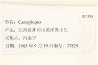 登錄號:B00015159藏品圖，第2張