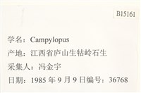 登錄號:B00015161藏品圖，第2張