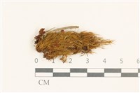 登錄號:B00015161藏品圖，第1張