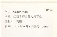 登錄號:B00015163藏品圖，第2張