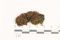 登錄號:B00015163藏品圖，第1張