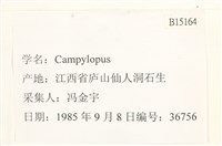 登錄號:B00015164藏品圖，第2張