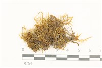 登錄號:B00015164藏品圖，第1張