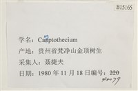 登錄號:B00015165藏品圖，第2張