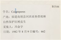 登錄號:B00015166藏品圖，第2張