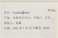 登錄號:B00015168藏品圖，第2張