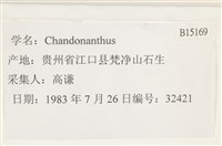 登錄號:B00015169藏品圖，第2張