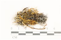 登錄號:B00015169藏品圖，第1張