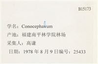 登錄號:B00015173藏品圖，第2張