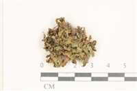 登錄號:B00015173藏品圖，第1張
