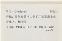 登錄號:B00015174藏品圖，第2張