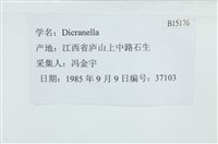 登錄號:B00015176藏品圖，第2張