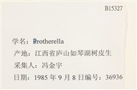 登錄號:B00015327藏品圖，第2張