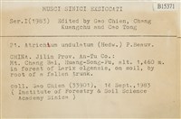 仙鶴蘚藏品圖，第2張