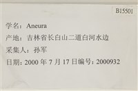 登錄號:B00015501藏品圖，第2張
