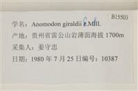 登錄號:B00015503藏品圖，第2張