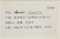登錄號:B00015504藏品圖，第2張