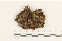 登錄號:B00015504藏品圖，第1張