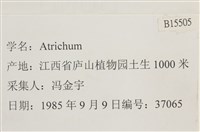 登錄號:B00015505藏品圖，第2張