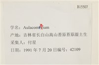 登錄號:B00015507藏品圖，第2張