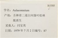 登錄號:B00015508藏品圖，第2張