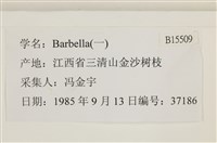 登錄號:B00015509藏品圖，第2張