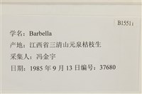 登錄號:B00015511藏品圖，第2張