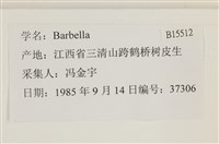 登錄號:B00015512藏品圖，第2張