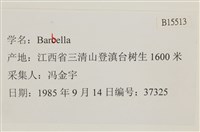 登錄號:B00015513藏品圖，第2張