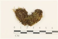 登錄號:B00015514藏品圖，第1張