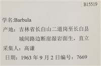 登錄號:B00015519藏品圖，第2張