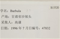 登錄號:B00015520藏品圖，第2張