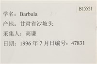 登錄號:B00015521藏品圖，第2張