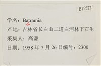 登錄號:B00015522藏品圖，第2張