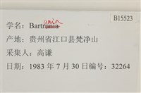 登錄號:B00015523藏品圖，第2張