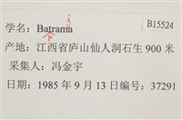 登錄號:B00015524藏品圖，第2張