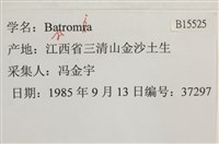 登錄號:B00015525藏品圖，第2張