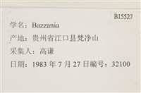 登錄號:B00015527藏品圖，第2張