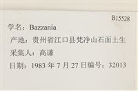 登錄號:B00015528藏品圖，第2張