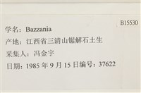 登錄號:B00015530藏品圖，第2張