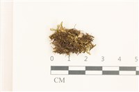 登錄號:B00015530藏品圖，第1張