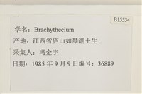 登錄號:B00015534藏品圖，第2張