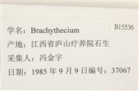 登錄號:B00015536藏品圖，第2張