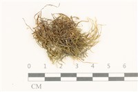 登錄號:B00015536藏品圖，第1張