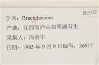 登錄號:B00015537藏品圖，第2張