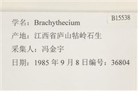 登錄號:B00015538藏品圖，第2張